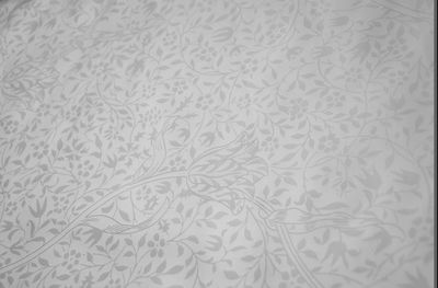 滌天絲大提花 滌天絲大提花