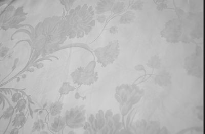 滌棉大提花 滌棉大提花