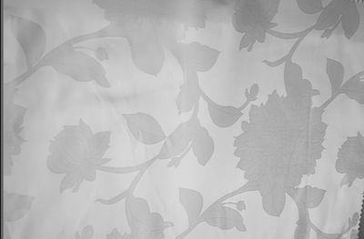 滌天絲大提花 滌天絲大提花